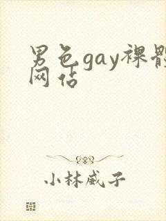 男色gay裸体网站