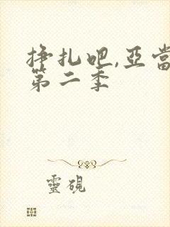 挣扎吧,亚当君第二季封面