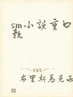sm小说重口调教封面