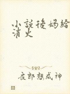 小说后妈给我消消火