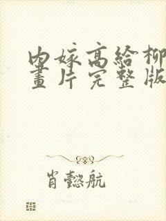 内嫁高给柳家动画片完整版
