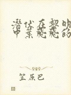 潜伏在黎明之前中叶飞飞的孩子呢