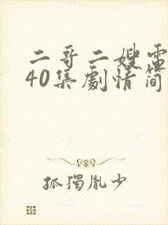 二哥二嫂电视剧40集剧情简介