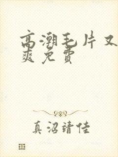 高潮毛片又色又爽免费封面