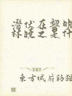 潜伏在黎明之前林晓之是什么人