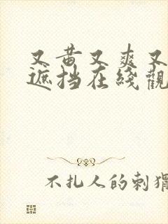 又黄又爽又色无遮挡在线观看封面