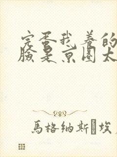 完蛋我养的小白脸是京圈太子爷短剧