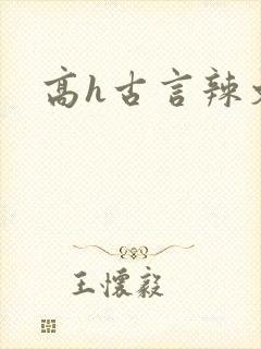 高h古言辣文