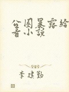 公园暴露给老头看小说