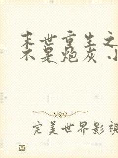末世重生之我可不是炮灰 小说封面