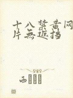 十八禁黄网站禁片无遮挡