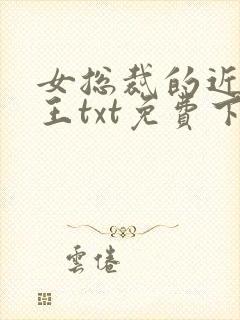 女总裁的近身兵王txt免费下载封面