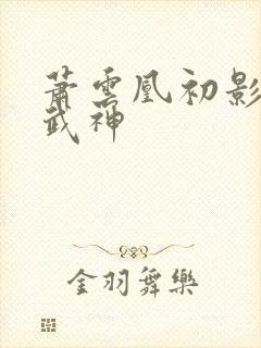 萧云凰初影荒古武神