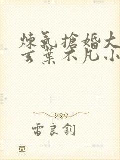 炼气抢婚大帝李玄叶不凡小说封面