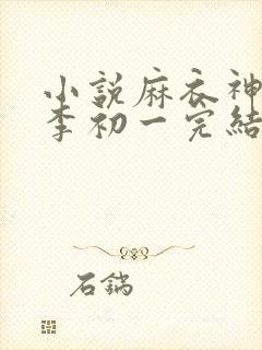 小说麻衣神算子李初一完结版