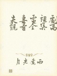 夫妻电视剧免费观看全集高清