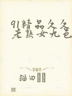 91精品久久久老熟女九色91