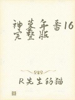 神墓年番16集完整版