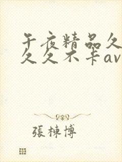 午夜精品久久久久久不卡av