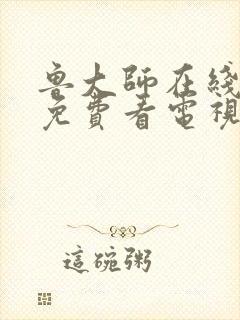 鲁大师在线播放免费看电视剧最新