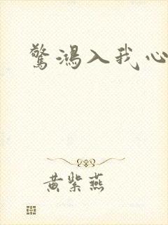 惊鸿入我心