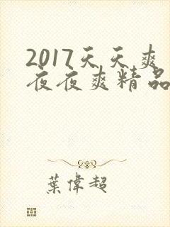 2017天天爽夜夜爽精品视频