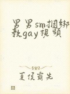 男男sm捆绑调教gay视频