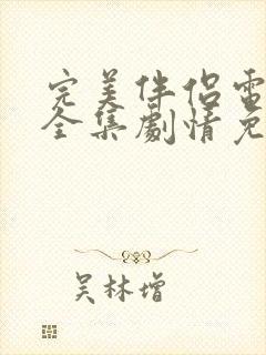 完美伴侣电视剧全集剧情免费观看