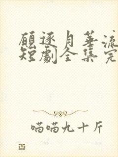 愿逐月华流照君短剧全集完整版