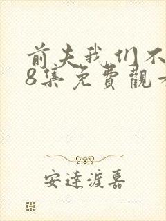 前夫我们不熟98集免费观看封面