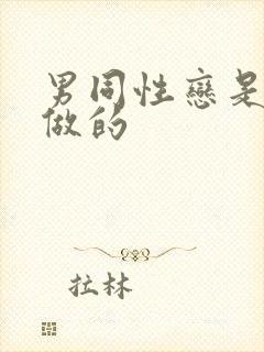 男同性恋是怎么做的