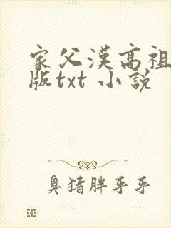 家父汉高祖精校版txt 小说