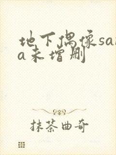 地下偶像sana未增删