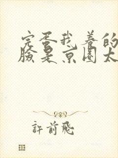 完蛋我养的小白脸是京圈太子爷阅读