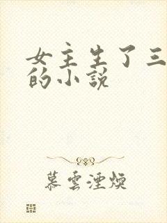 女主生了三胞胎的小说
