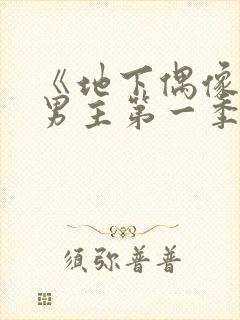 《地下偶像》双男主第一季免费