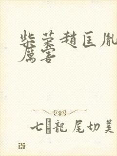 柴荣赵匡胤谁更厉害
