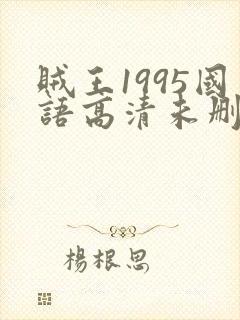 贼王1995国语高清未删减版137分钟免费观看封面