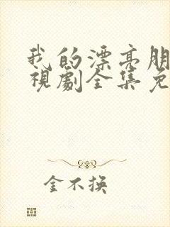 我的漂亮朋友电视剧全集免费观看