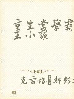 重生当学霸的女主小说