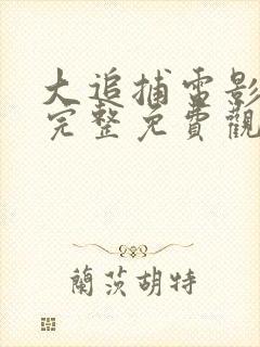 大追捕电影在线完整免费观看