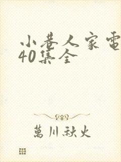 小巷人家电视剧40集全