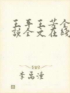 王平王芳全红小说全文在线阅读