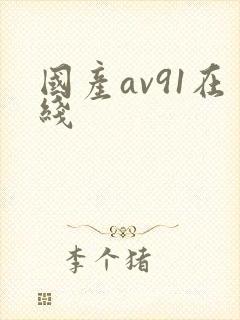 国产av91在线