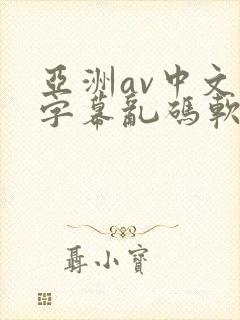 亚洲av中文字字幕乱码软件