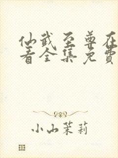 仙武至尊在线观看全集免费播放动漫