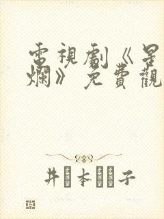 电视剧《星汉灿烂》免费观看