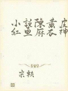 小说陈黄皮,叶红鱼麻衣神婿