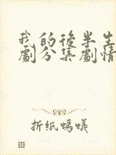 我的后半生电视剧分集剧情介绍封面
