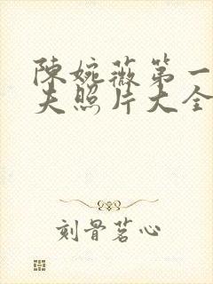 陈婉薇第一任丈夫照片大全